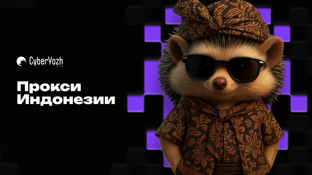 SeTKyk4.png