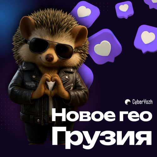 MVziow2.png
