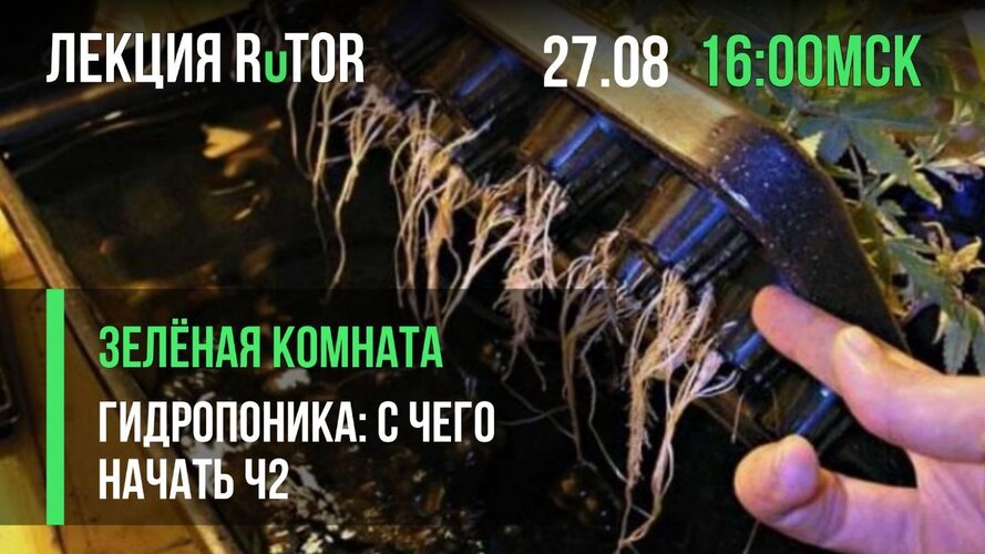vikkqrm6c9cp02up.jpg